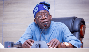 Tinubu Appoints Principal Officers For University Of Medicine, Abeokuta, Federal College Of Education, Yauri